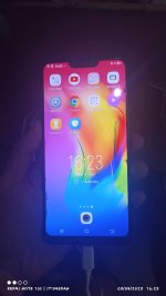 vivo.jpg